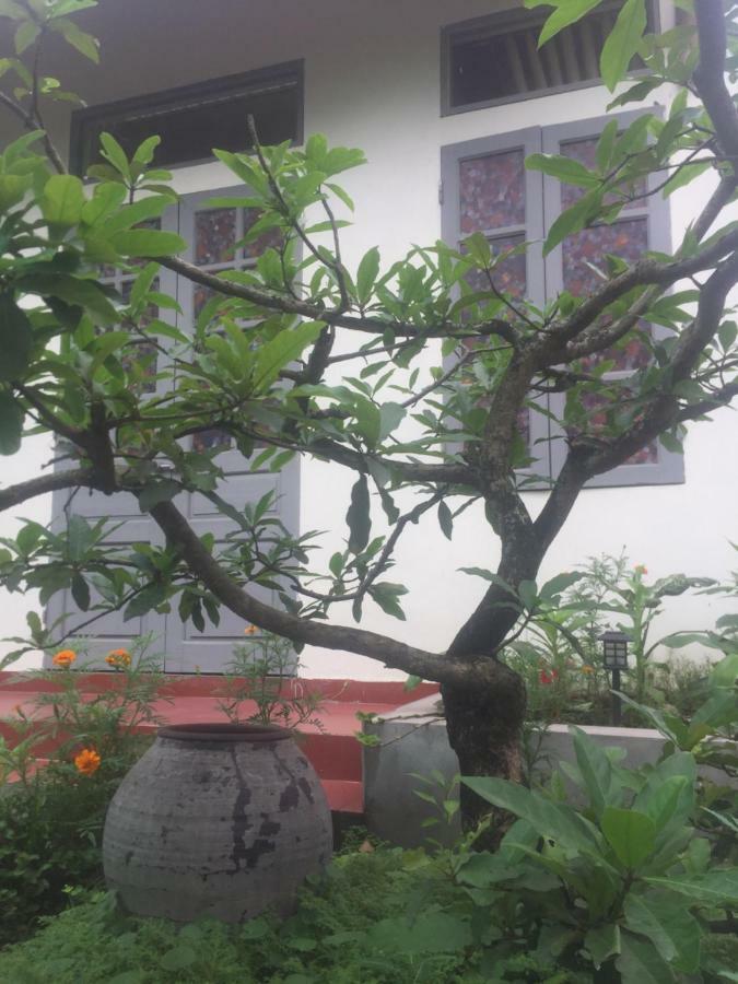 Hang Mua Happiness Homestay Ninh Binh Eksteriør bilde
